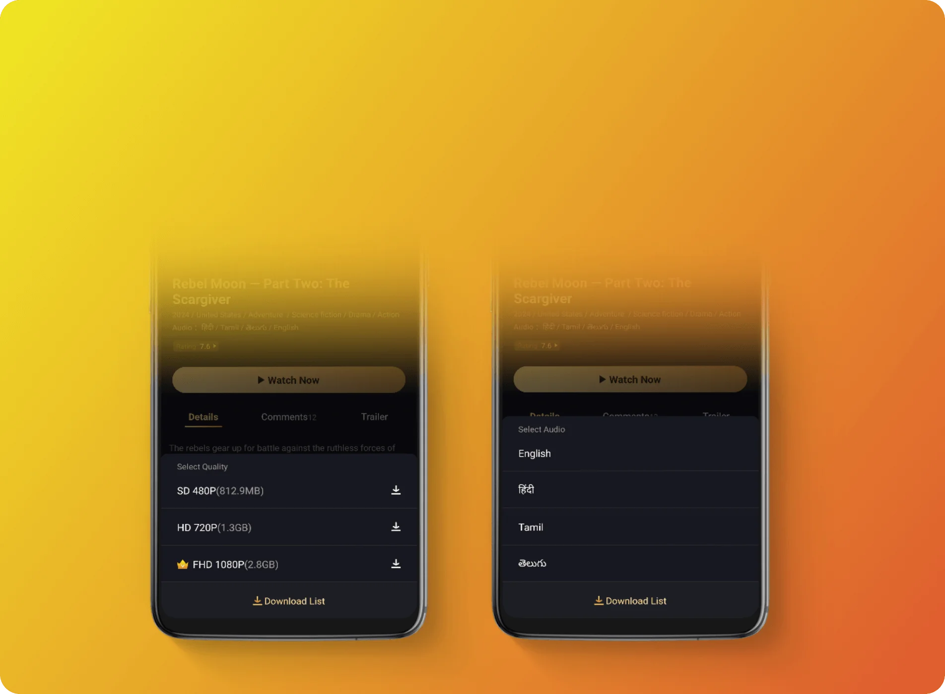 Multiple video quality and audio language options
